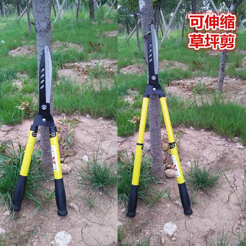 德之助可伸缩柄草坪剪 冬青剪园林修枝剪 园艺整枝剪园林工具