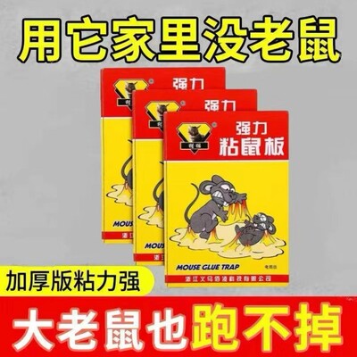 老鼠粘强力粘鼠板胶粘大老鼠贴超强家用室内黏沾捕鼠器神器捉扑