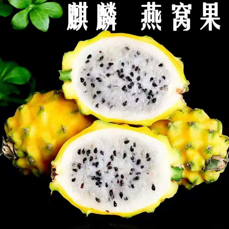 海南麒麟燕窝果当季孕妇黄皮火龙果非马来西亚进口新鲜黄金燕窝果