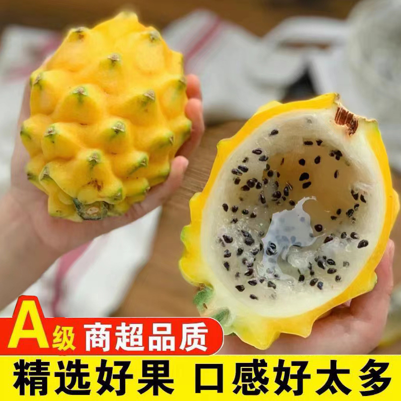 10枚装 海南新鲜燕窝果罕见稀有海南麒麟果黄金果甜孕妇宝宝水果