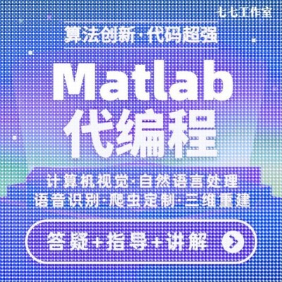 matlab程序代编程代码帮做彷真图像处理深度学习神经网络信号处理