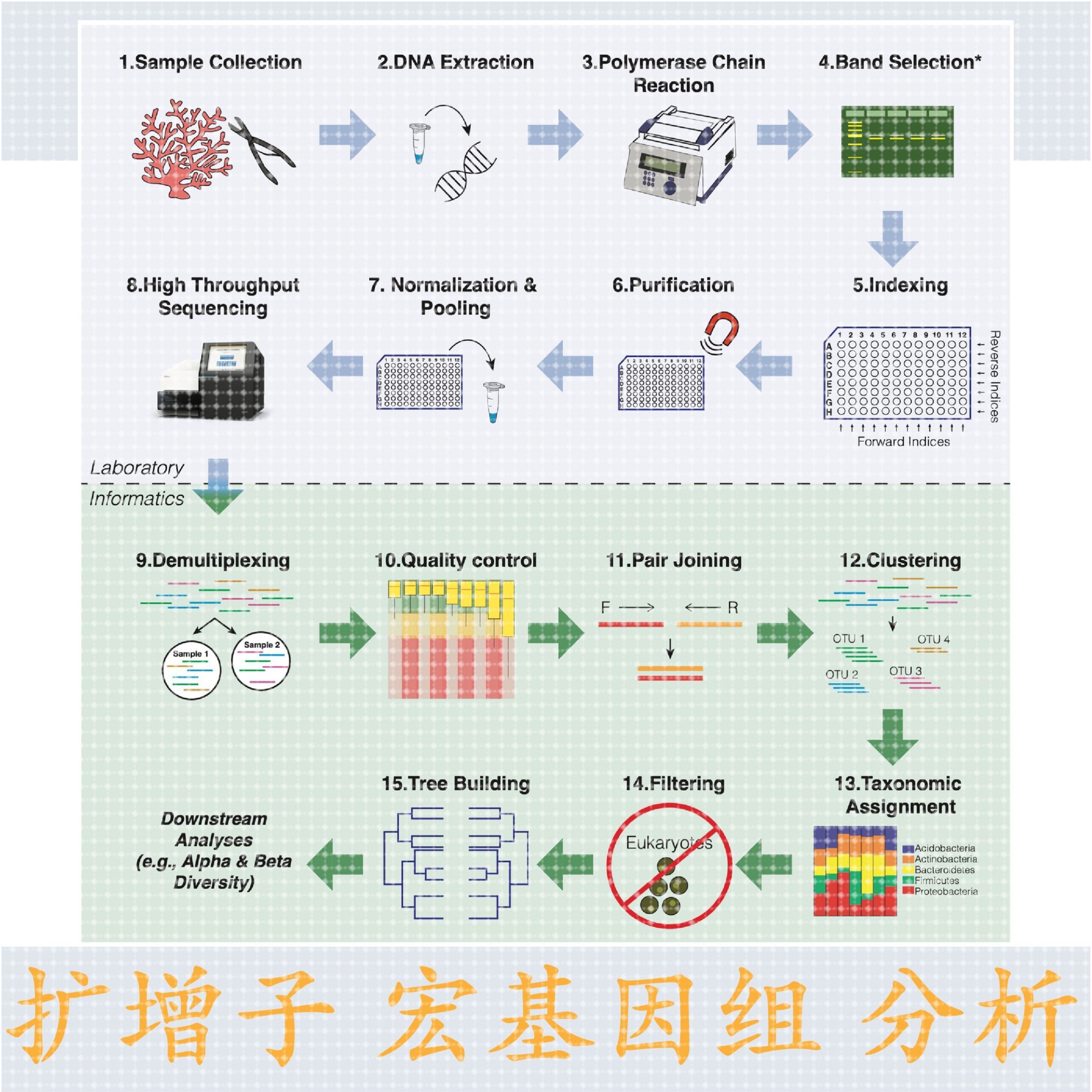 生信分析2-5分TCGA数据验证构建预后模型单细胞转录组测序分析