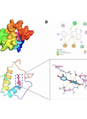 药物靶点数据库挖掘 DrugBank TTD PharmGKB专业注释