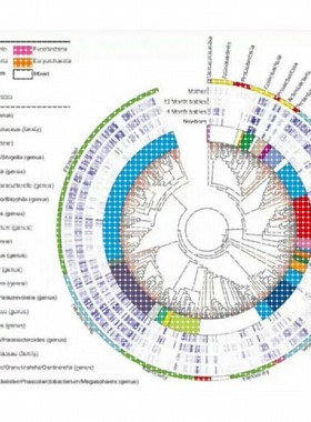 Python数据分析 机器学习 深度学习  数据库 sql查询  一对一辅导