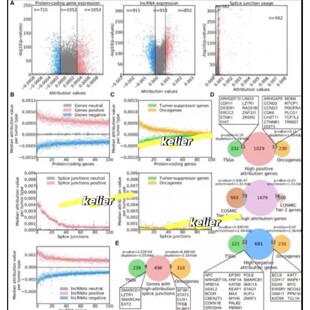 蛋白测序分析 质谱数据 蛋白鉴定 序列分析服务