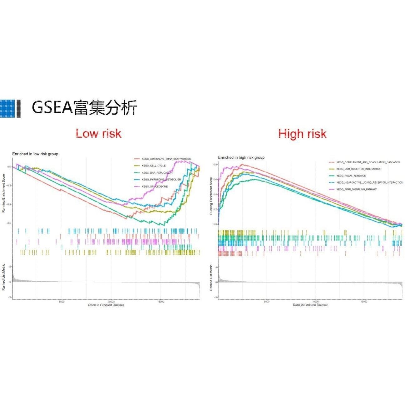 TCGA数据库免疫基因预后(免疫治疗/生存分析/WGCNA共表达网络),商务/设计服务,设计素材/源文件,淘宝优惠券,粉丝福利购,淘宝优惠卷