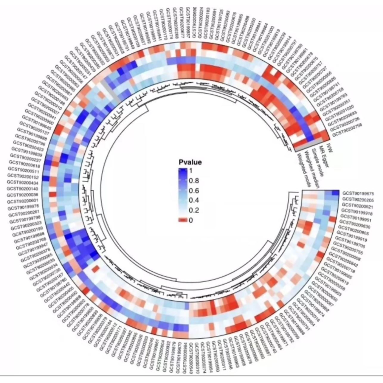 Alpha多样性分析指数计算组间比较箱线图显著性