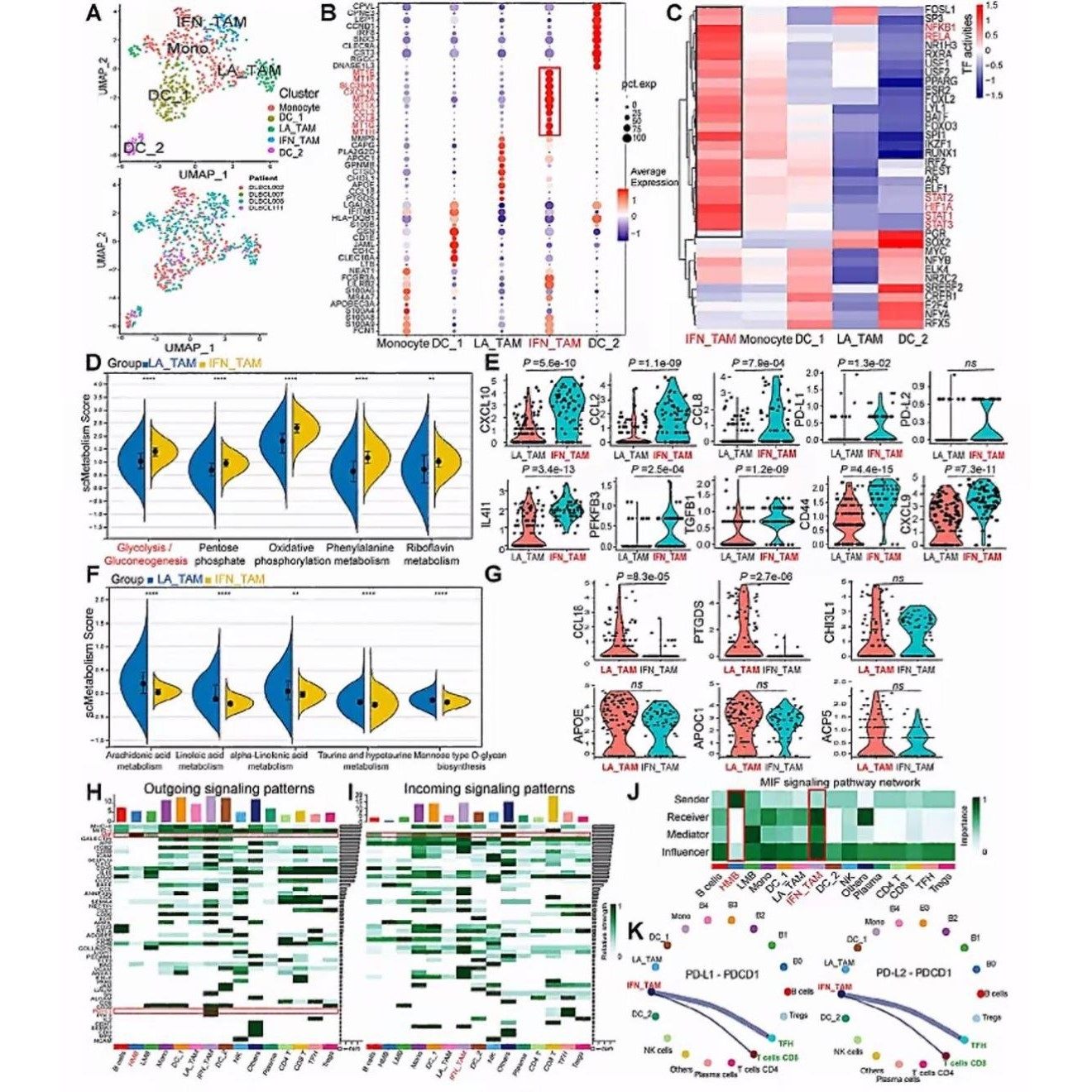 10xRNA单细胞原始数据分析空转数据分析服务