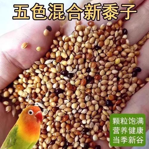 中小型鹦鹉鸟粮饲料五色黍子谷子