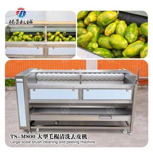 大姜新姜毛辊去皮清洗机TS M800土豆山药清洗去皮机价格