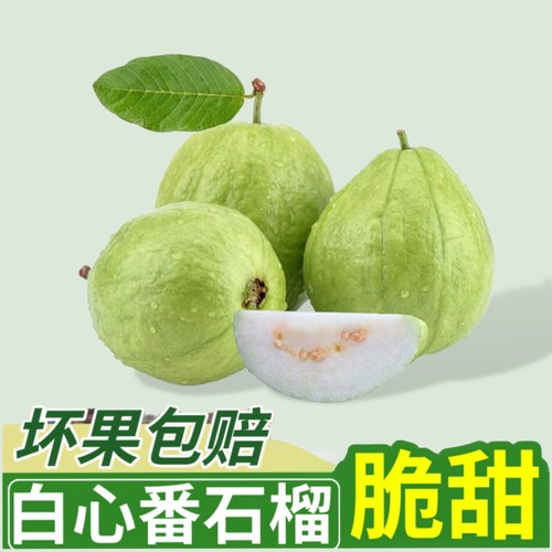 广东脆甜芭乐5斤清甜番石榴清脆珍珠桃白心巴乐新鲜水果整箱包邮3