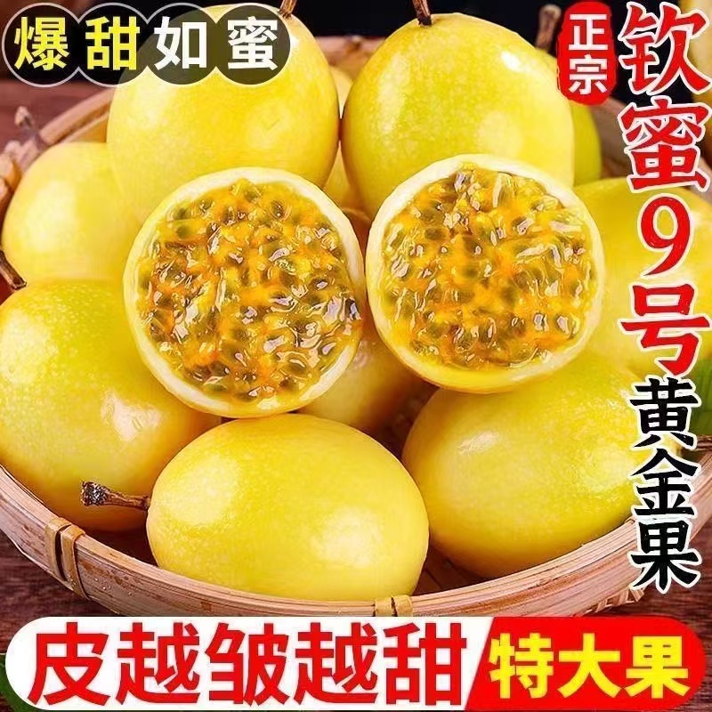 广西钦蜜9号黄金百香果黄色原浆