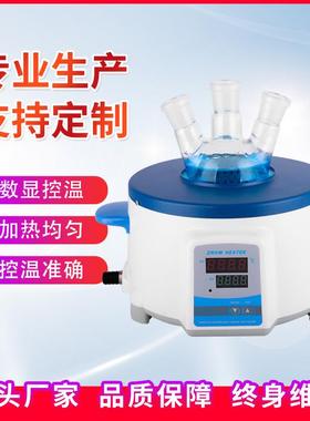 ZNHW-250ml500ml1000ml智能数显恒温电热套实验室调温电加热套