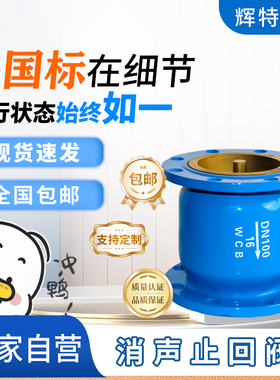 消声止回阀HC41X-16球磨铸铁法兰式立卧单向阀静音防逆止DN80 100