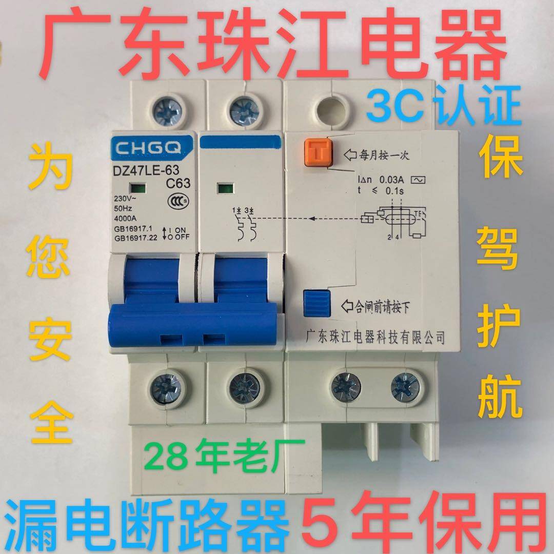 广东珠江漏电保护器双DZ47LE升级款家用总开2P63A空气开关断路器