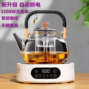 电陶炉煮茶壶泡茶家用蒸茶壶玻璃烧水茶壶 日本2024新款