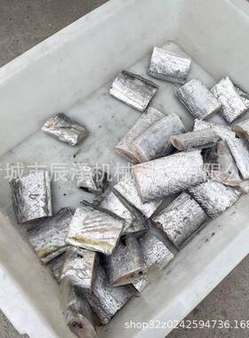 全自动刀鱼剁块机带 商用带鱼鱼 切段设备WER电动鲜切段机