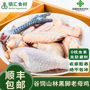 皖南深山老母鸡正宗土鸡冷冻批发新鲜现杀鸡肉生鲜农家散养走地鸡