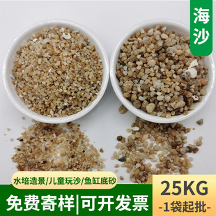水洗海沙厂家 造沙滩儿童娱乐玩沙淘宝寻宝砂跑马场用圆粒砂