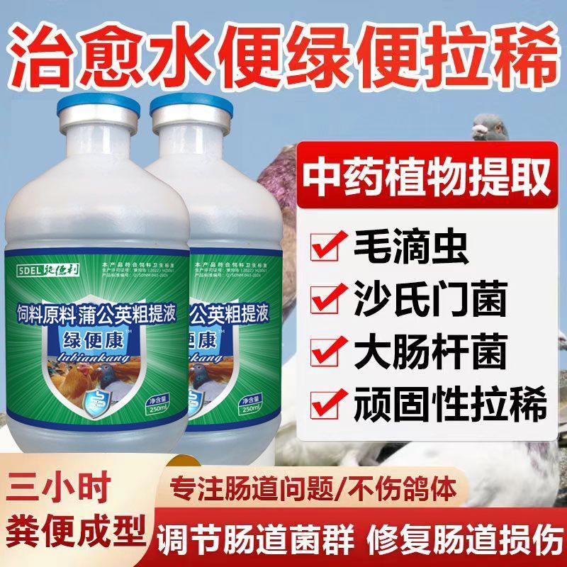 鸽子药治疗绿便拉稀白痢黄便水