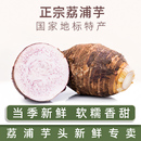 荔浦芋广西荔浦芋头正宗特产新鲜现挖大芋头原产地直发软糯旗舰店