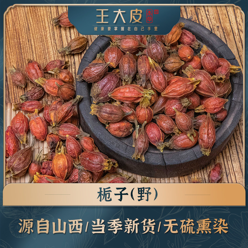 生野生栀子 道地高品质经方经典优质正宗滋补原产地新鲜自然