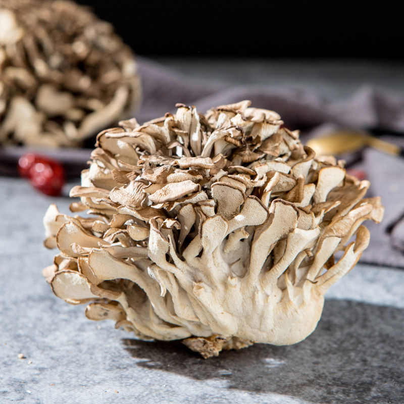 庆元灰树花500g 乾巴菌舞茸小花 灰树菇栗蘑香菇类乾货