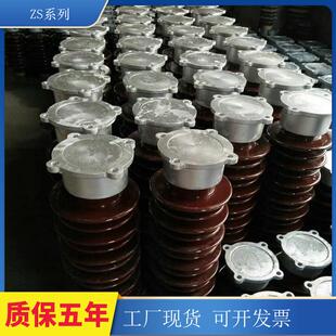 现货ZSW-0支柱绝缘子ZSW-35陶瓷支柱绝缘子户外电力器材