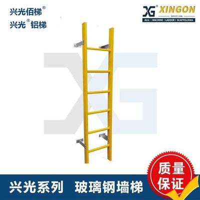 玻璃钢护笼爬梯下水道检修梯绝缘梯应急逃生梯污水井爬梯深坑爬梯