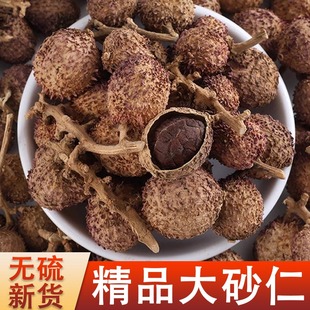 砂仁中药材500g正宗阳春砂仁官方旗舰店砂仁养胃正品中药香料特产