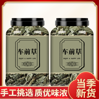 车前草野生中药材车钱草茶包袋泡茶新鲜正品中草药500g车前子泡水