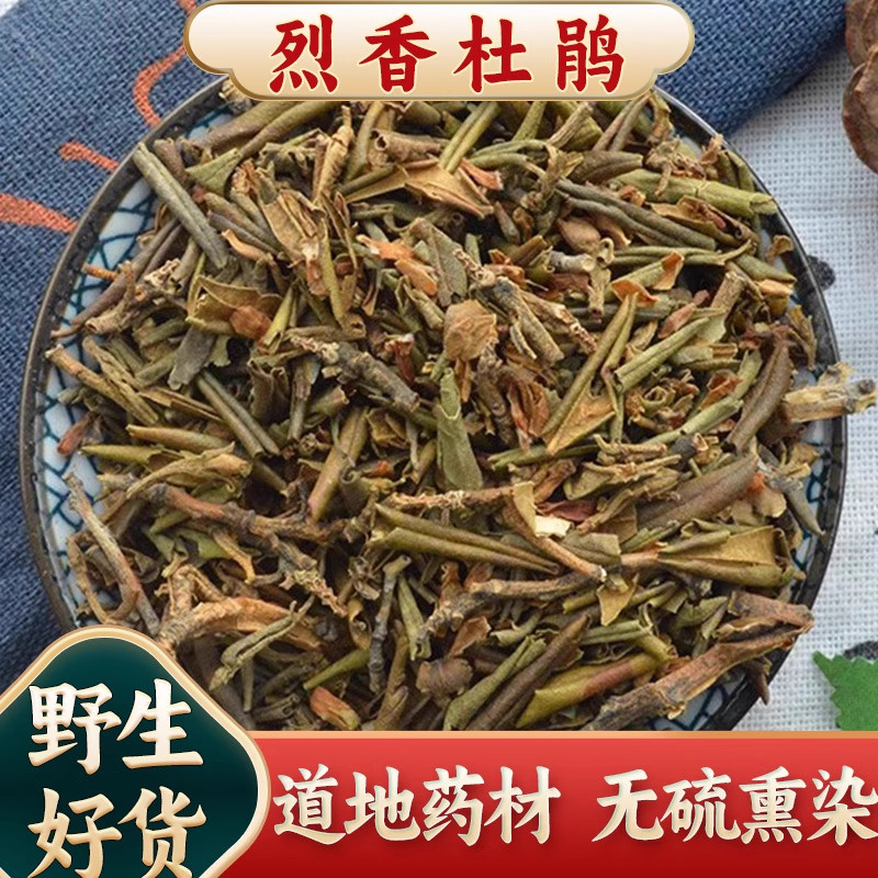 烈香杜鹃中药材正宗西藏野生白香柴黄花杜鹃小叶枇杷头花杜鹃新货