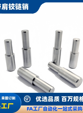 MSFW台阶定位销钉 BLY01 BLY21-D5 D6 D8 D10 D13-L15 L20 L25L35