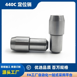 D10 D2D3D4D5D6 P10 台阶销菱形销定位销YBR01