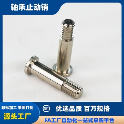 轴承止动销BGP BGPM8 1210-11 15 16 18-L20 L25 L30 L40 L50 L60