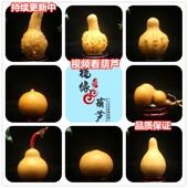 把件葫芦天然 文玩葫芦精品小葫芦 八宝葫芦 葫芦手捻 天津嘴葫芦