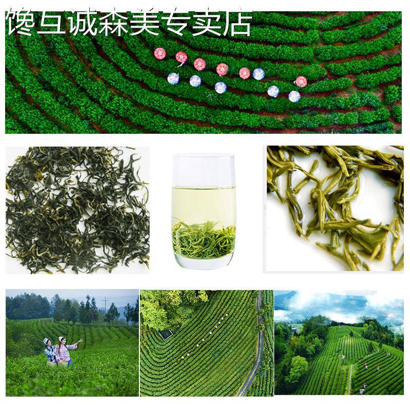 四川广元旺苍米仓山茶叶毛尖春茶2025新茶绿茶浓香型毛峰250g袋装