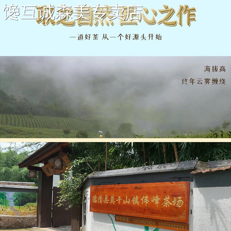 2026新茶莫干黄芽明前正宗高山茶叶嫩芽一级绿茶莫干山特产散装