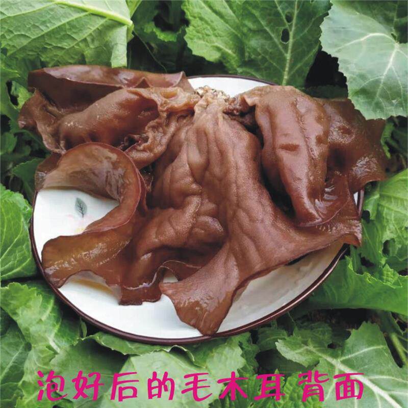 正宗毛木耳干货散装头茬脆
