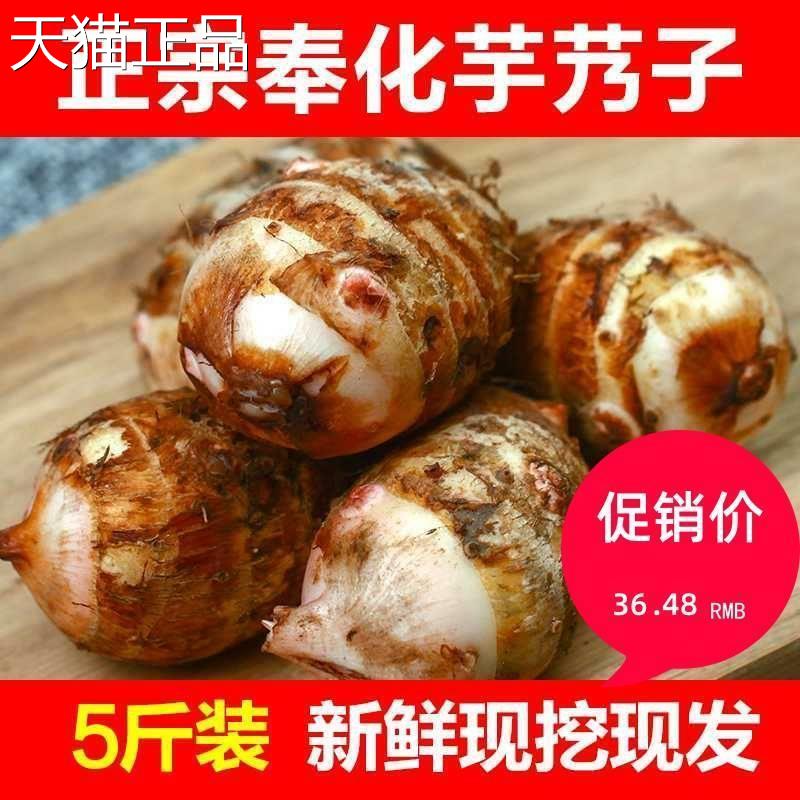 广西荔浦芋头旗舰店正宗奉化特产芋艿头小芋头5斤 非溪口新鲜农家