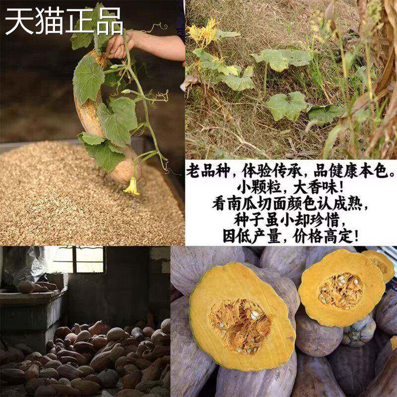管良椒盐口味南瓜子500g小锅精炒毛边开 口黑金刚南瓜子炒货小零