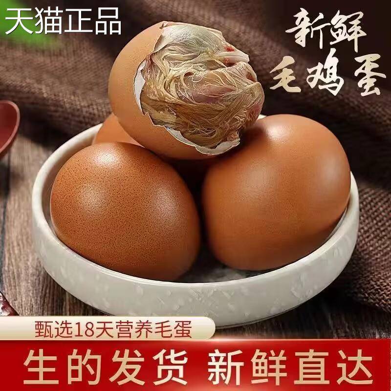 新鲜毛蛋毛鸡蛋实蛋鸡胚蛋烧烤凤凰蛋喜蛋旺鸡蛋全鸡半鸡半蛋