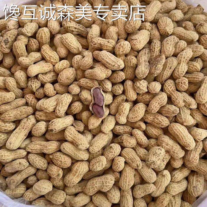 新花生包邮一笑哥推荐超好吃龙岩花生紫衣水煮白晒咸干 干湿烤500