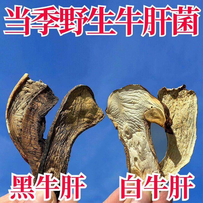 云南牛肝菌藏地高原野生黑牛肝菌干货美味白葱红乳大脚菇好过云南