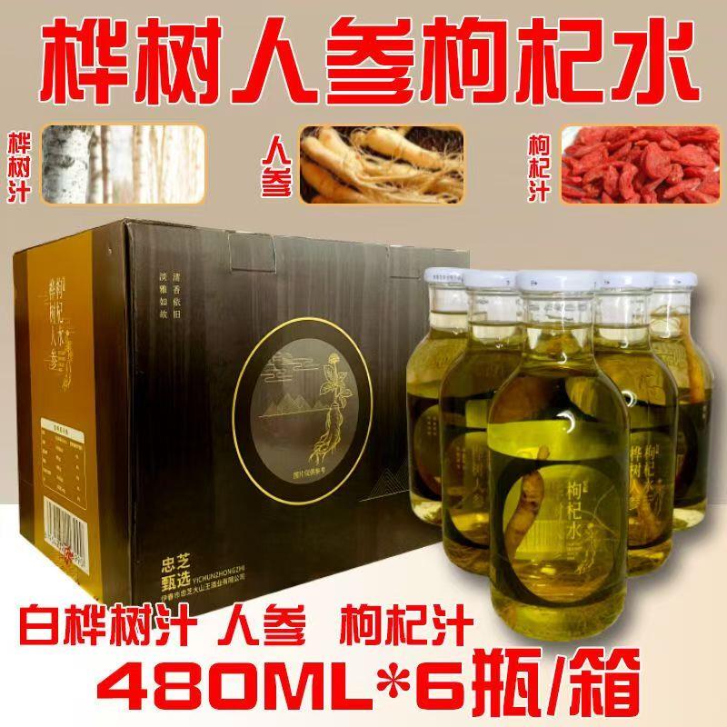 新货桦树人参水饮料480ml