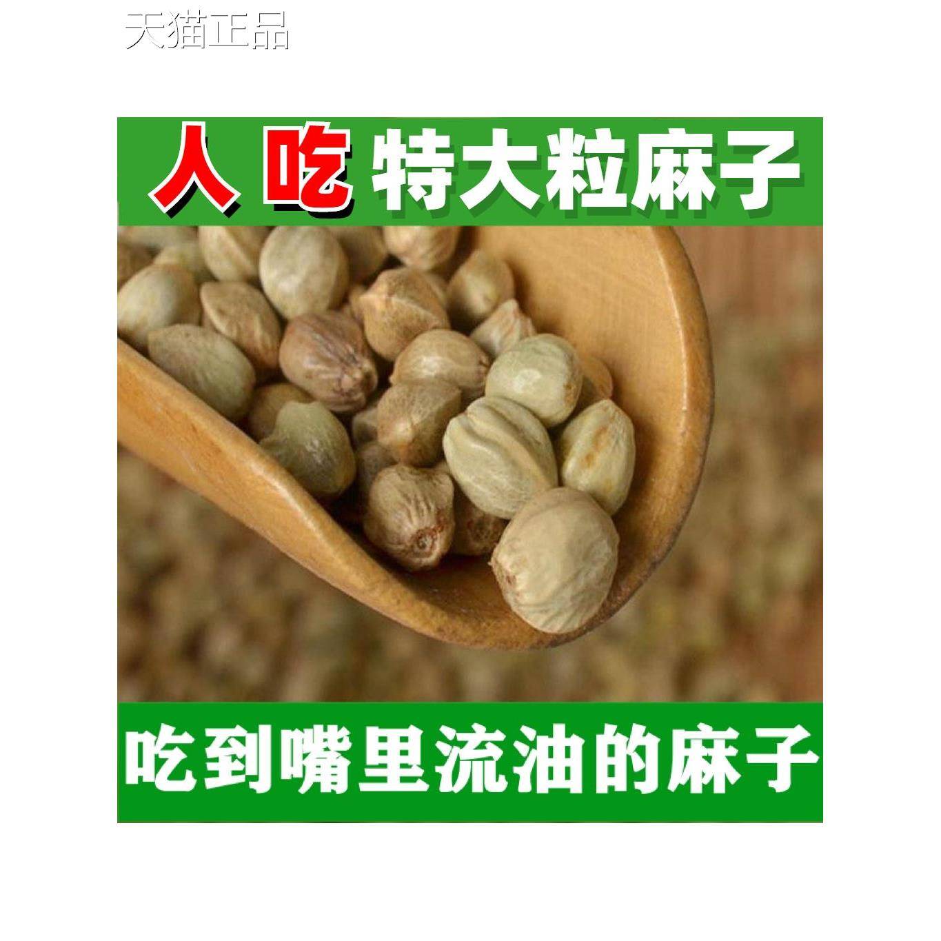 麻子大粒人吃新货火麻子 炒熟五香生麻子籽食用