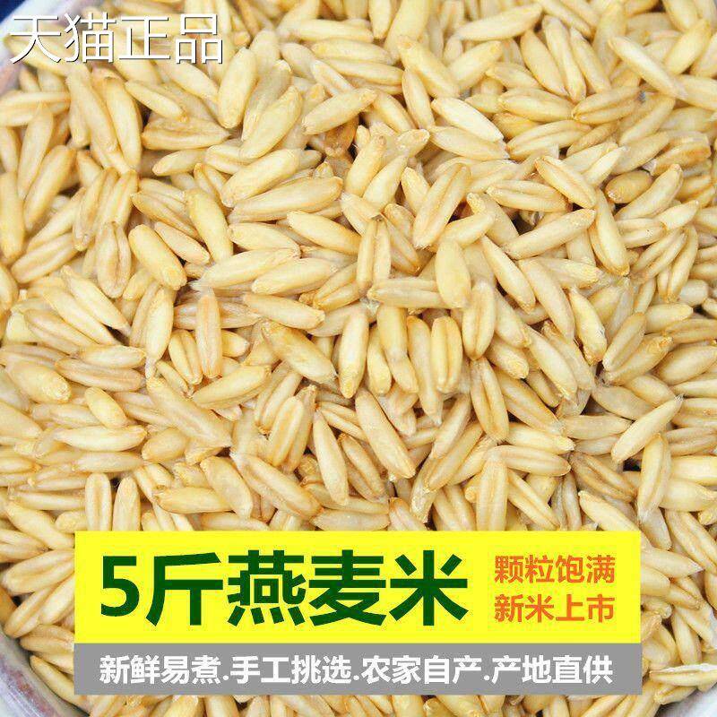 新货燕麦米5斤 农家自种燕麦仁荞麦米全胚芽燕麦五谷杂粮杂粮1斤