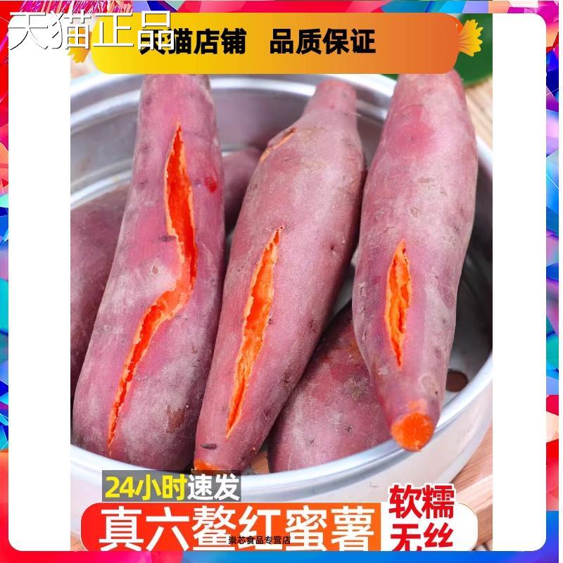 六鳌蜜薯沙地红心板栗红薯新鲜地瓜糖心番薯农家自种山芋西瓜红
