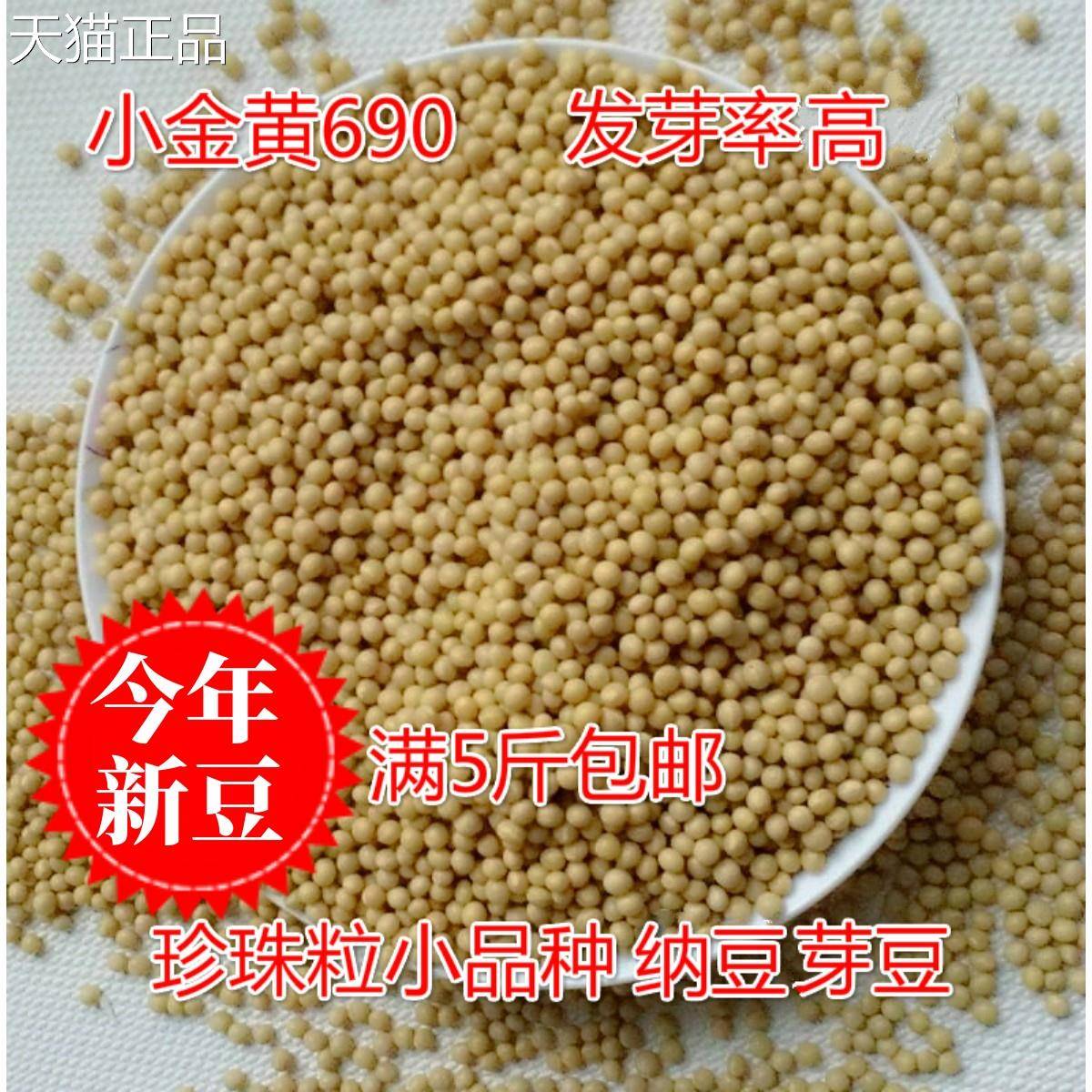 新货非转基因发豆芽小黄豆500g小粒珍珠豆690生黄豆芽纳豆