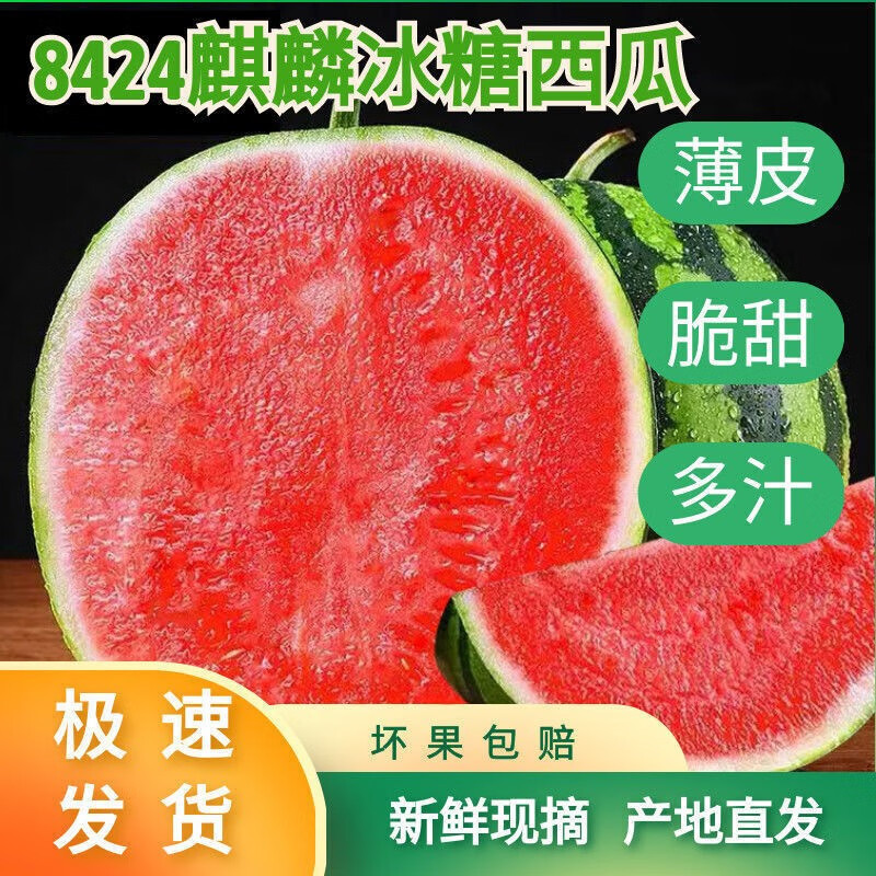 正宗8424麒麟西瓜现摘新鲜超甜沙瓤西瓜孕妇水果整箱冰糖云南西瓜